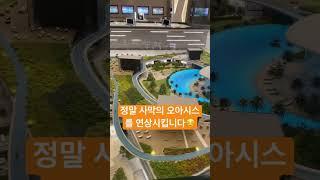 사막이 아닌 브렌트우드 오아시스 투어! #밴쿠버리얼터 #밴쿠버부동산 #밴쿠버콘도 #밴쿠버 #캐나다리얼터