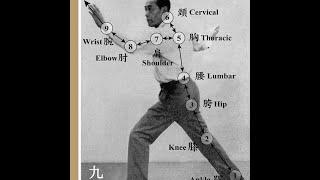 Taiji Classic, "When one part moves, all parts move..."