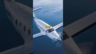 Pilot sees the megalodon | part 1 #shorts #megalodon