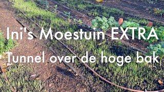 Ini's Moestuin EXTRA # 215 - Tunnel maken om je gewassen te beschermen tijdens de wintermaanden.