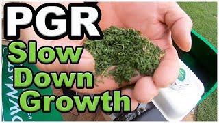 Plant Growth Regulator // Slow Down Lawn Growth