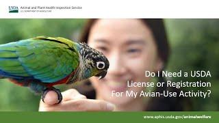 Do I Need a USDA License or Registration for My Avian Use Activity  1