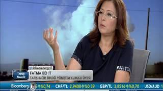 TARİŞ İNCİR - İRFAN DONAT - TARIM ANALİZ