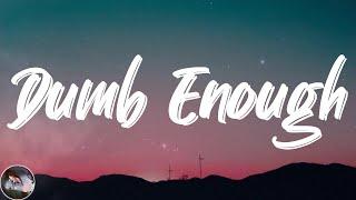 Feni - Dumb Enough (feat. Yoflem) (Lyrics)