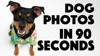 Dog Photography in 90 SECONDS | Photography Tips