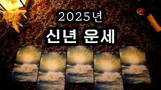 [타로] 2025년에 일어날 일