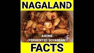 Facts NAGALAND FOOD FACTS Nikaz facts