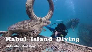 Mabul Island Diving: Paradise 1 | Semporna, Malaysia