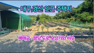 대구 , 경산과 가까운 가격싼 주택지 매매