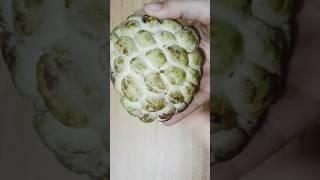 custard apple ice cream/#viral#shorts #you tube video #yst shorts ice cream