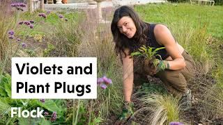 SEEDS & PLANT PLUGS in the Meadow House Gardens — Ep. 277