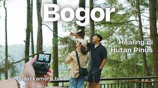 Jalan-Jalan ke Hutan Pinus Bogor | KOPI DAONG