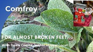 Comfrey and Nearly Broken Feet