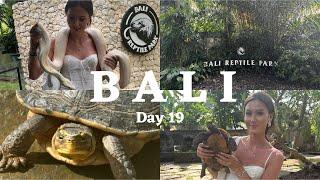 Solo Diaries | Bali reptile park & nighttime safari