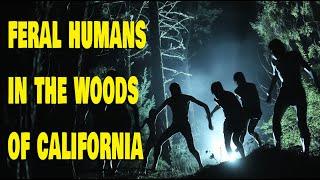 TALES OF #FERALPEOPLE  FROM THE WOODS OF #CALIFORNIA!