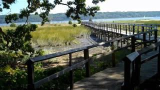 Sagamore Hill National Historic Site Tour