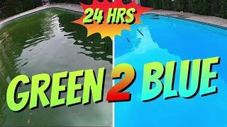 Green to Blue Pool in 24 hours: How to Clean a Green Pool: Pool Cleaning: Cleaning a Swimming Pool