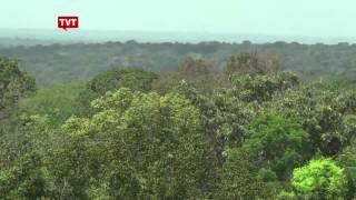 Mais alto observatório do clima do mundo fica na Amazonia brasileira