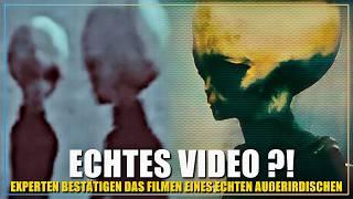 Video zeigt echtes Alien aus dem Zeta Reticuli System! sagen Analysten