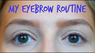 My Eyebrow Routine 