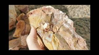 Gemfields Jasper || Goldfield, Nevada || Rockhounding