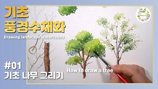 Watercolor basics tree drawing / tree / watercolor painting / YouTube watercolor class