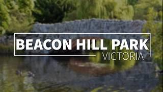 Things to do in Victoria, British Columbia - Beacon Hill Park