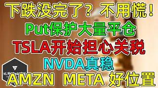 美股 下跌没完了？不用慌！Put保护已大量平仓！NVDA真稳！TSLA开始担心关税！AMZN、META的好位置！