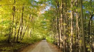 Beautiful Autumn Drive In The Country In Markdale Ontario Canada