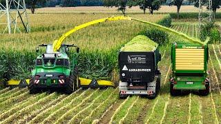 Mais 2024 | John Deere 9900i | BIG Transport | Heinfried Reuters