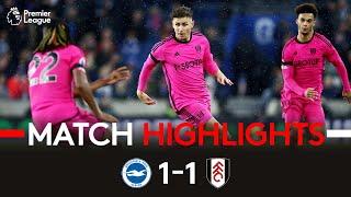 HIGHLIGHTS | Brighton 1-1 Fulham | Hard-Earned Point On South Coast 