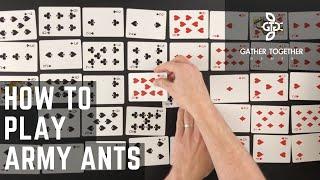 How To Play Army Ants