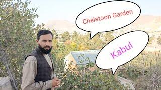 visiting one of the most popular gardens in Kabul.