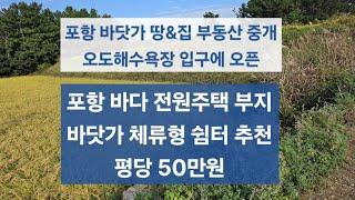 포항 바닷가 월포역 5분거리 주택,체류형 쉼터 땅 매매 바닷가 인근 전원주택 토지 추천 하루종일 햇살 가득한 정남향 따뜻한 땅