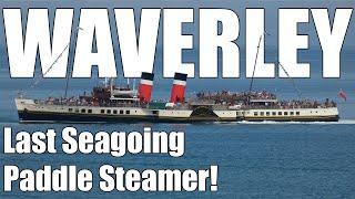 PS Waverley | The Last Seagoing Paddle Steamer in the world!