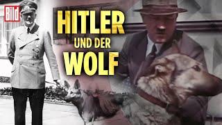 Hitlers Tierliebe: Rassenwahn und NS-Ideologie im Dritten Reich | BILD Doku