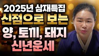 미리보는 2025년 삼재특집 복삼재띠는 어떤 띠가 있을까? 토끼띠 양띠 돼지띠 분들은 꼭 미리 알고 대운을 받아가세요