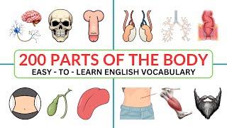 200 Parts of The Body in English | Human Body Parts | Daily English Vocabulary |