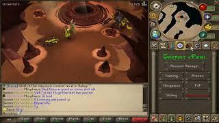 NEVER SEEN BEFORE CONTENT IN AN RSPS - Runescape Private Server - Brand New RSPS 2019