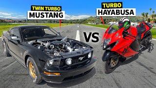 Can a 1000hp Twin Turbo Mustang GT beat a TURBO Hayabusa in a No Prep Drag Race??