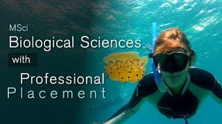 MSci Biological Sciences with Professional Placement