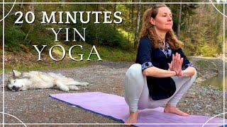 Yin Yoga For Hips & Lower Back Release I 20 Minutes Of Full Body Tension Release