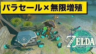 【バグ検証】パラセール中のアイテム増殖バグ【ティアキン】