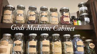 my simple at home herbal apothecary; what herbs I prioritize to always have & their benefits