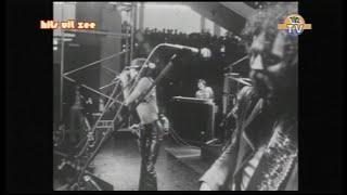 Alquin - Wheelchair Groupie ( 70's Nederpop / Original Footage 1975 Rebroadcast 192 TV )