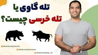 تله گاوی یا تله خرسی چیست؟