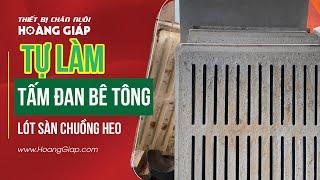 Tự làm TẤM ĐAN BÊ TÔNG lót sàn chuồng trại nuôi lợn, nuôi heo