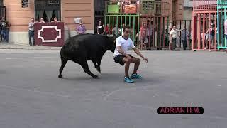 Videoclip DVD Bous Adrián Hernández Marí 2019 2ª Parte 1º DVD