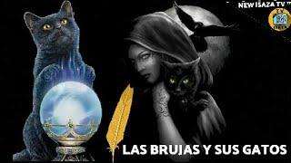 Las brujas y sus gatos