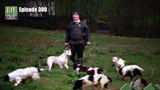 Fieldsports Britain - Death threats for the man who smacks gundogs